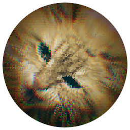 MorisCat
